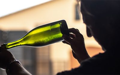 D.O. Cava Advances Its Highest Classification with New Paraje Calificado Evaluations