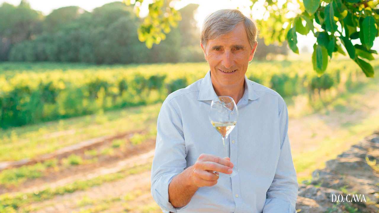 D.O. Cava Revolutionizes Sparkling Wine with Organic Commitment by 2025