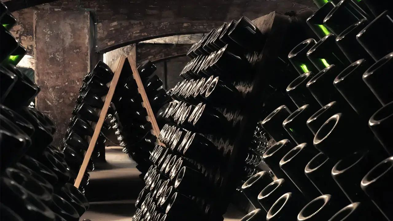 D.O. Cava sets standard with 100% Organic regulation for Guarda Superior, Featured at TEXSOM 2025